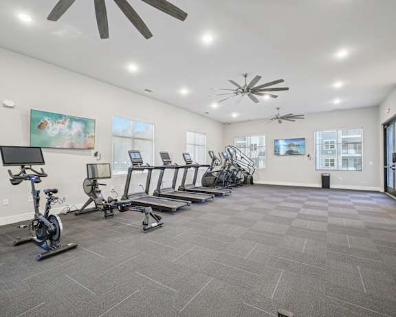 Photo Gallery Image