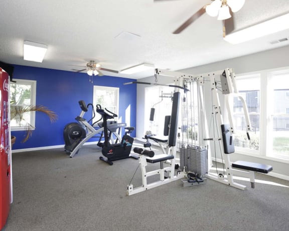Photo Gallery Image