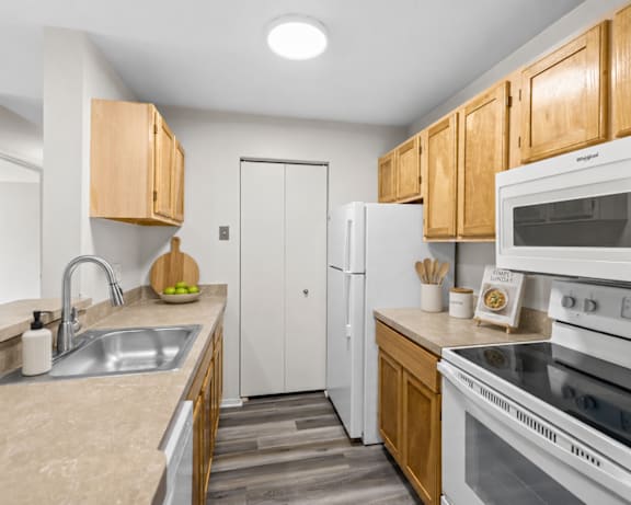 Photo Gallery Image