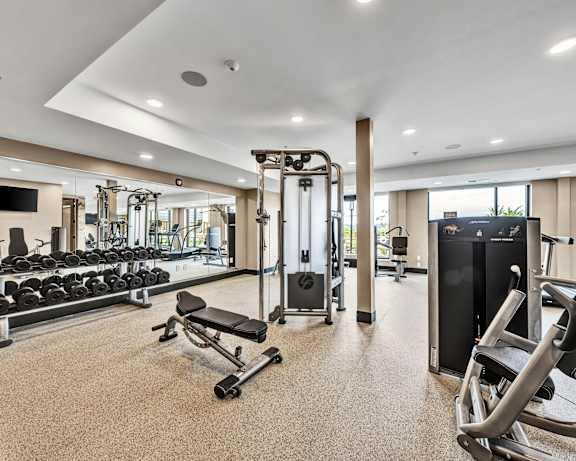 Photo Gallery Image