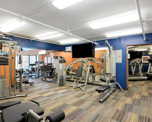 Photo Gallery Image
