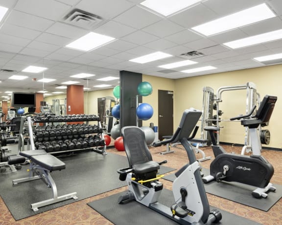 Photo Gallery Image