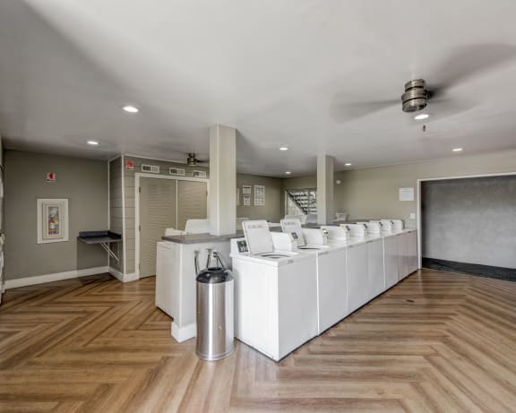 Photo Gallery Image