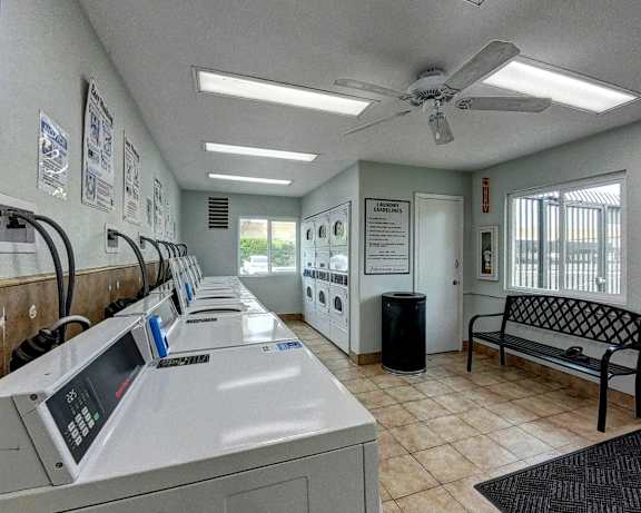 Photo Gallery Image