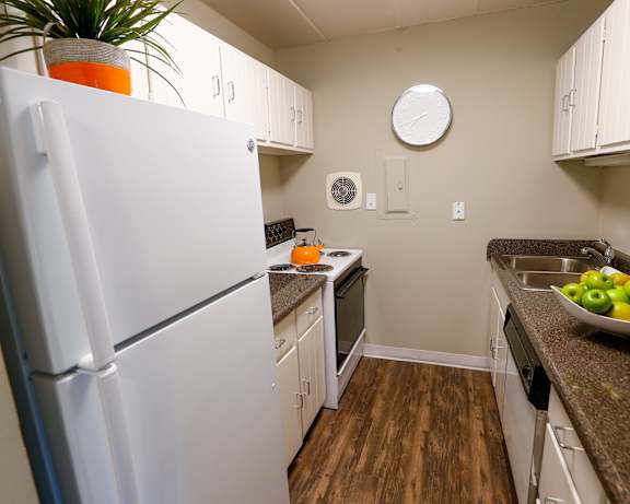 Photo Gallery Image