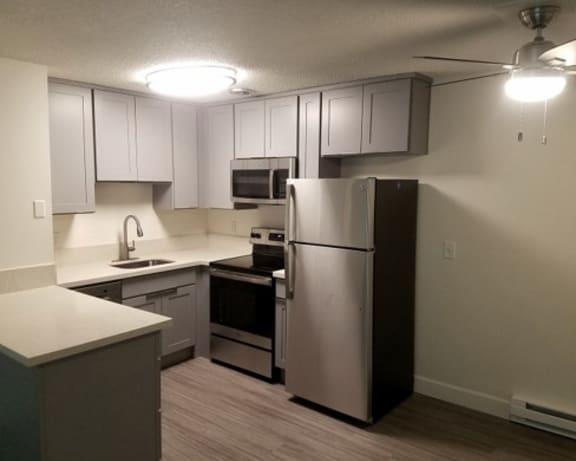 Photo Gallery Image