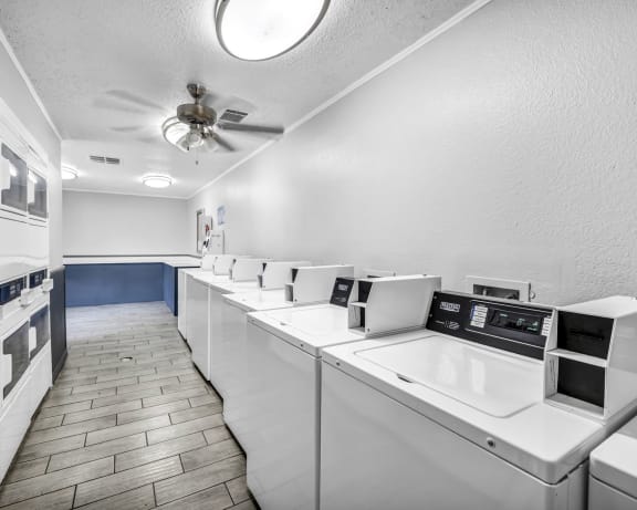 Photo Gallery Image