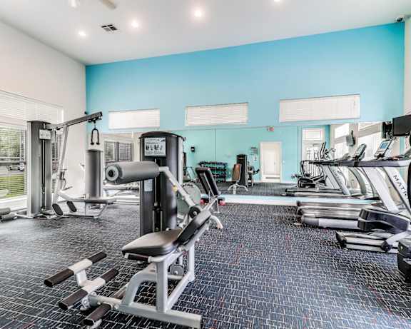Photo Gallery Image