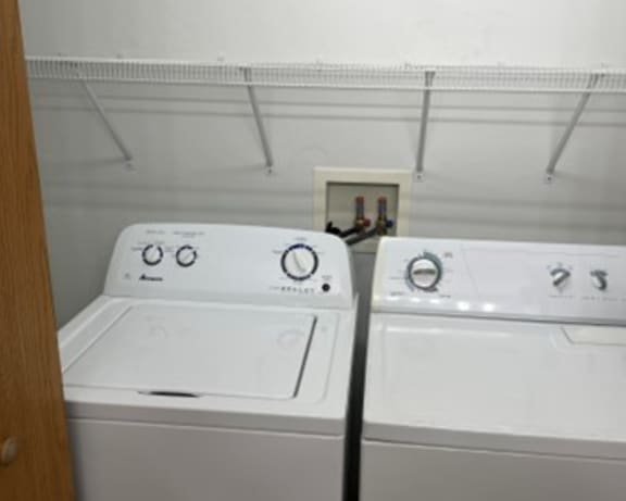 Photo Gallery Image