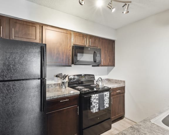 Photo Gallery Image