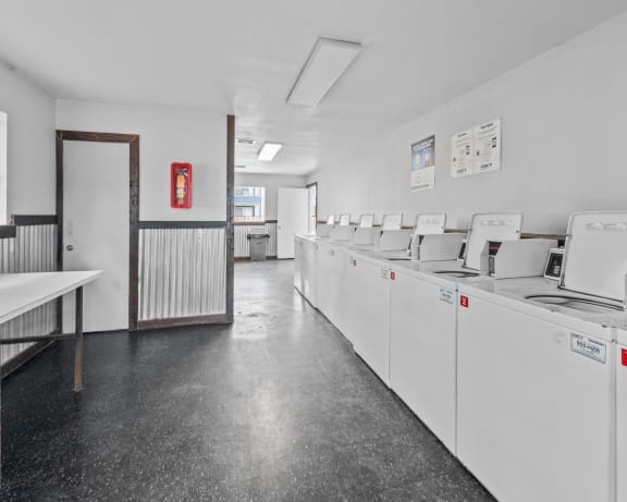 Photo Gallery Image