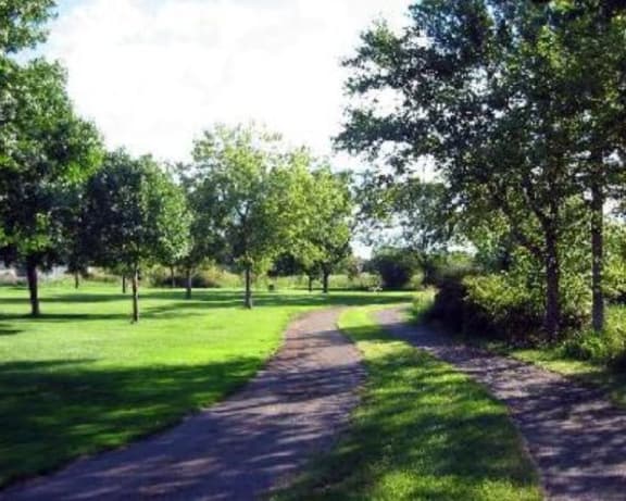 Photo Gallery Image