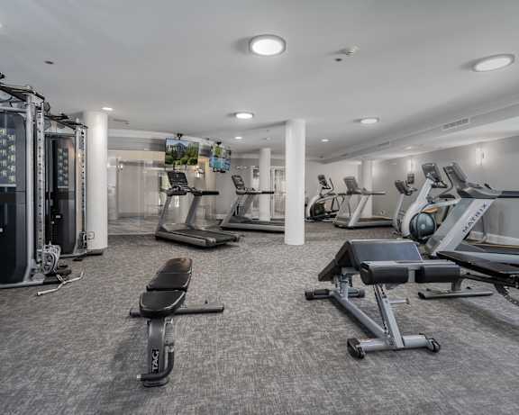 Photo Gallery Image