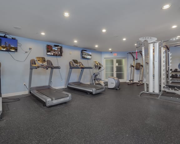 Photo Gallery Image