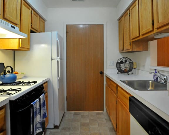Photo Gallery Image