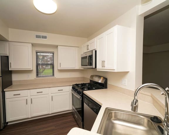 Photo Gallery Image
