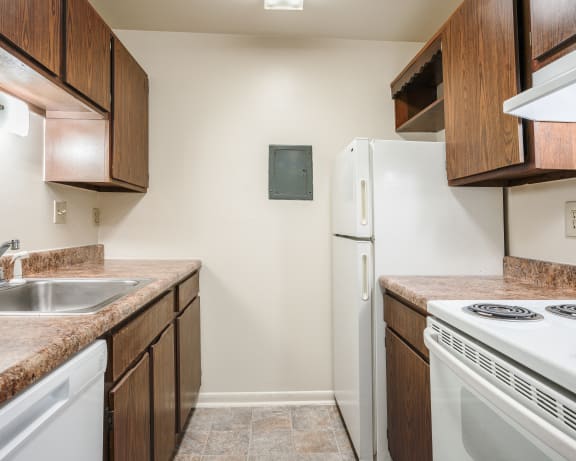 Photo Gallery Image