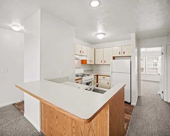 Photo Gallery Image