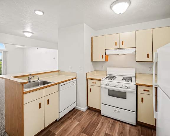 Photo Gallery Image