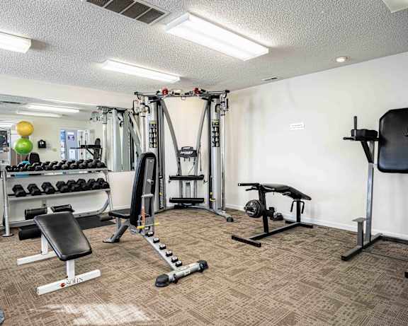 Photo Gallery Image