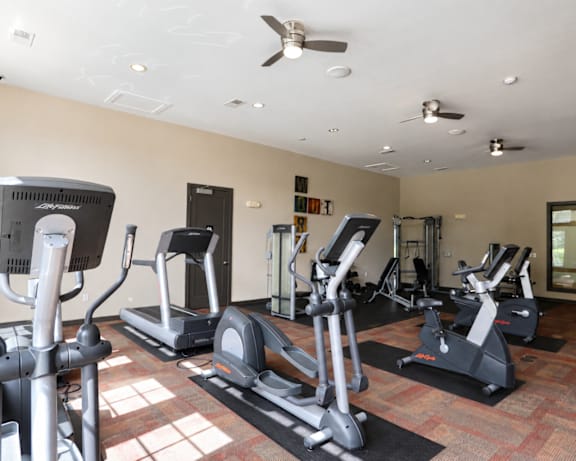 Photo Gallery Image