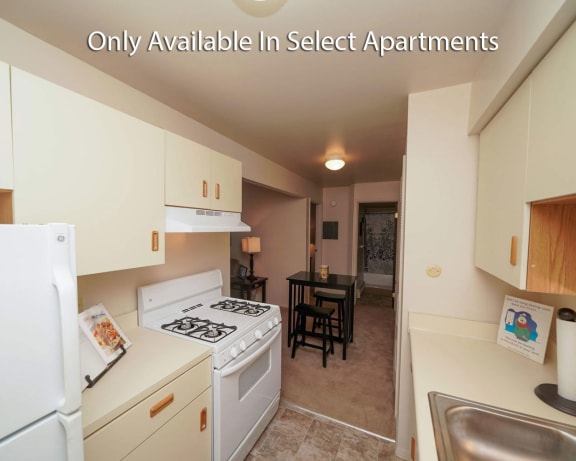 Photo Gallery Image