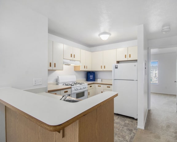 Photo Gallery Image