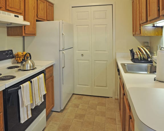 Photo Gallery Image