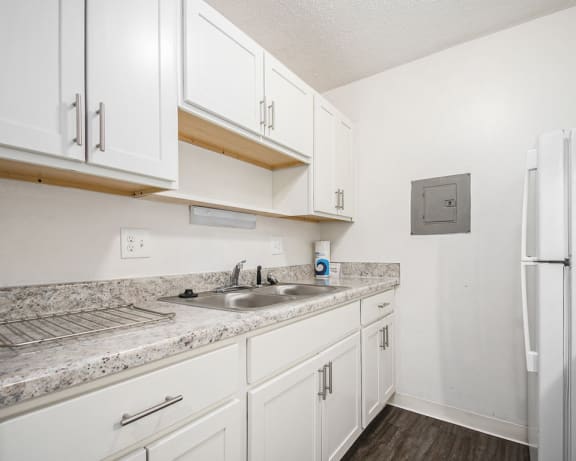 Photo Gallery Image