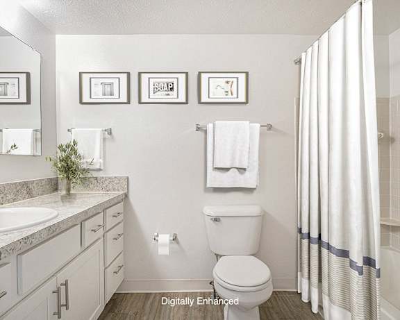 Photo Gallery Image