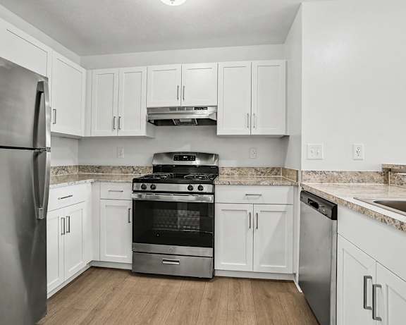 Photo Gallery Image