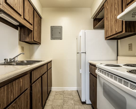 Photo Gallery Image
