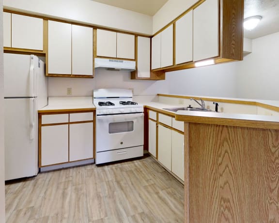 Photo Gallery Image