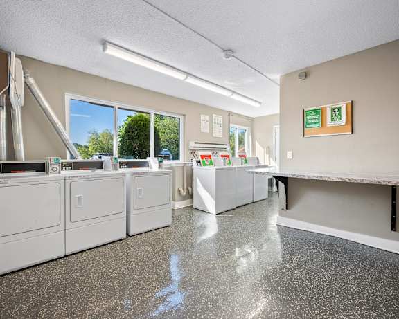 Photo Gallery Image