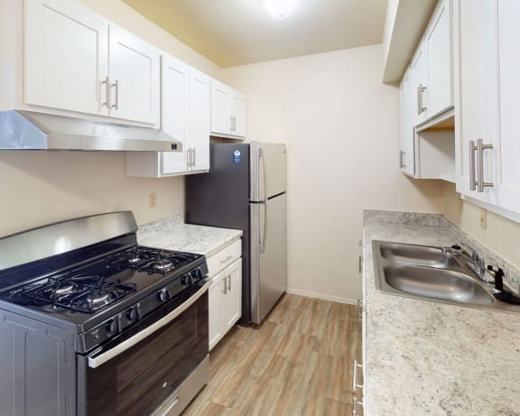 Photo Gallery Image