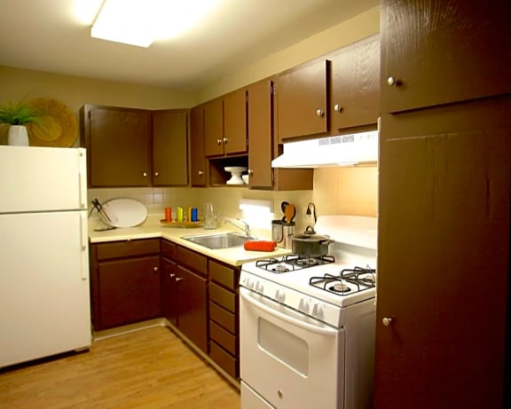 Photo Gallery Image