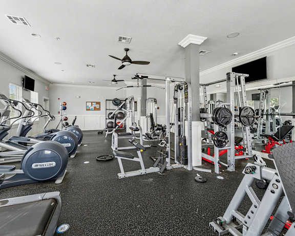 Photo Gallery Image