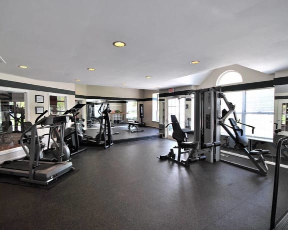 Photo Gallery Image