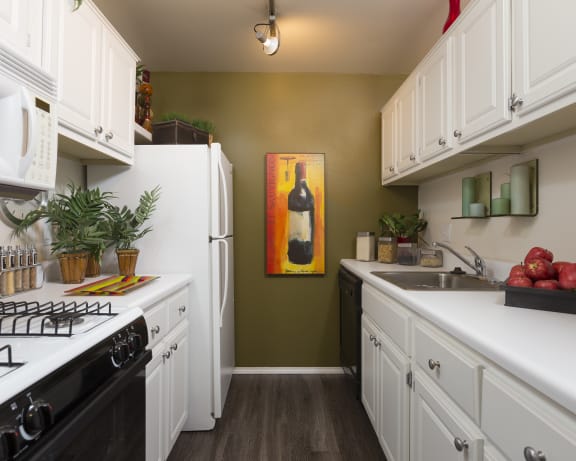 Photo Gallery Image
