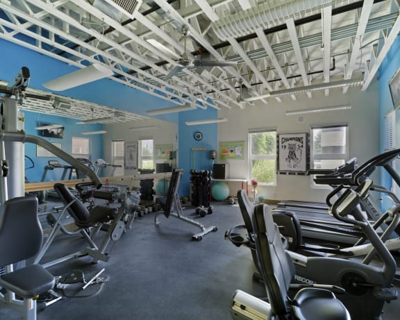 Photo Gallery Image