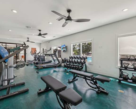 Photo Gallery Image