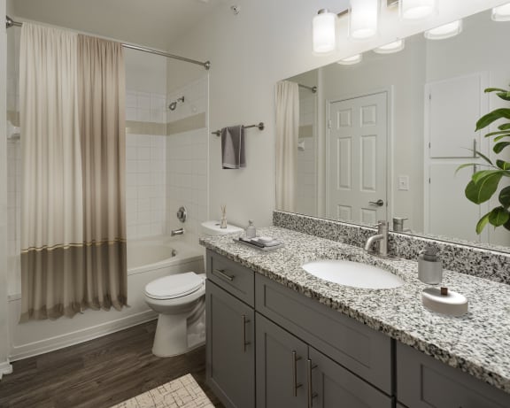 Photo Gallery Image