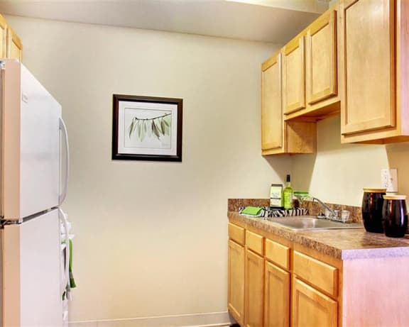 Photo Gallery Image