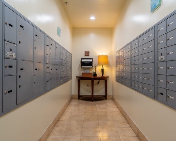Photo Gallery Image
