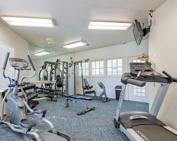 Photo Gallery Image