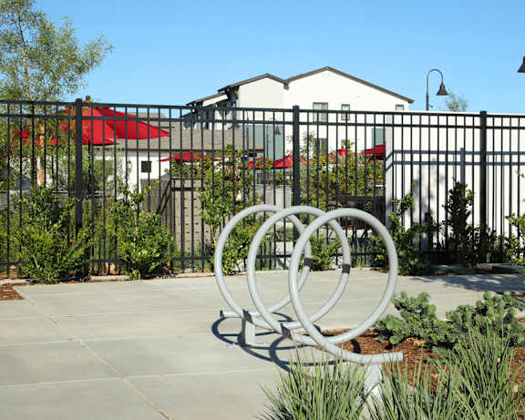 Photo Gallery Image