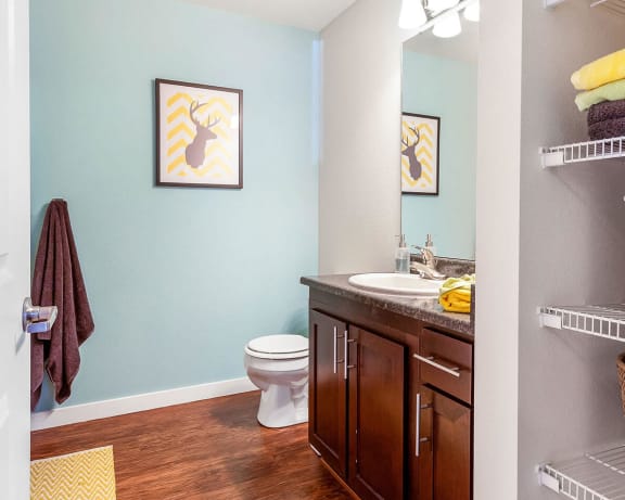 Photo Gallery Image