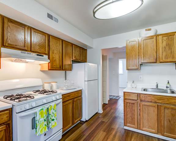 Photo Gallery Image