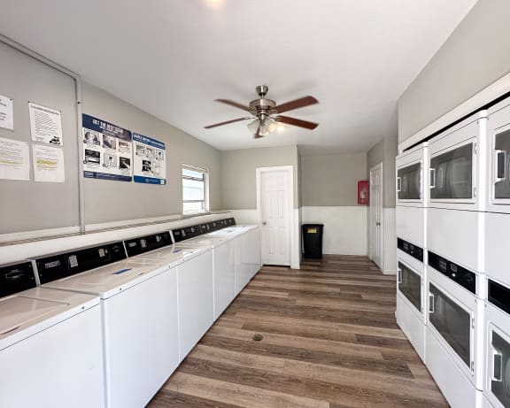 Photo Gallery Image