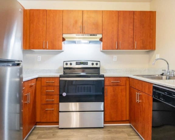 Photo Gallery Image